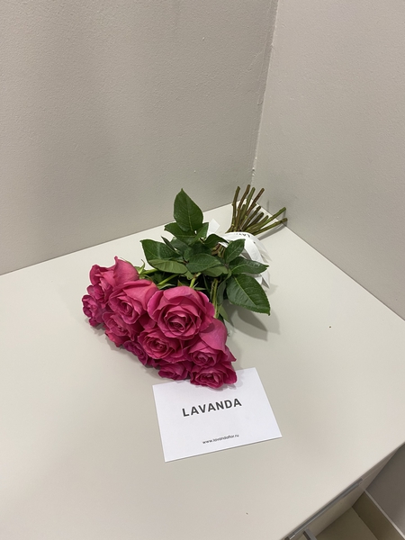 Фото флориста