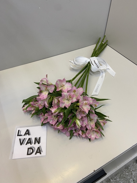 Фото флориста