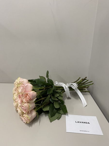 Купить цветы с доставкой в Омске - LAVANDA - страница 3