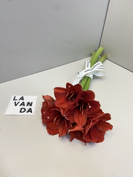 Фото флориста