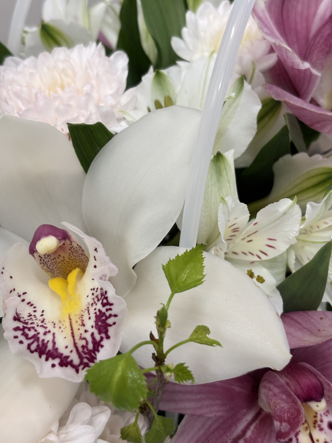 Композиция 2246