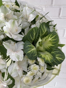 Сборный букет с брассикой