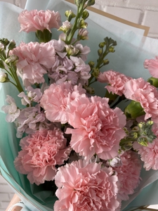 Диантусы с маттиолой