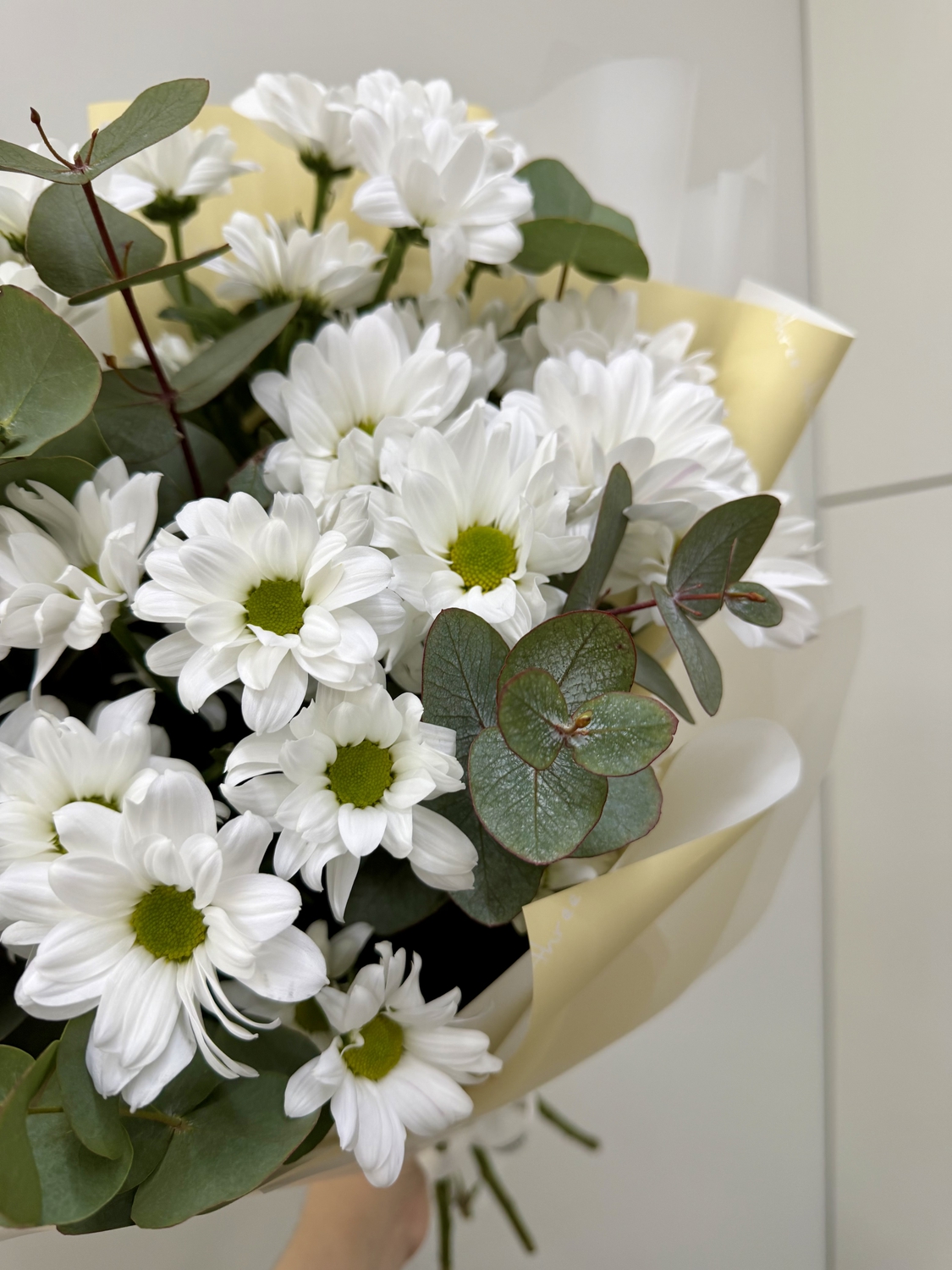 Букет с ромашками и эвкалиптом