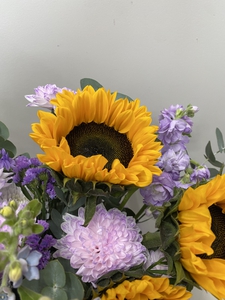 Солнечное утро