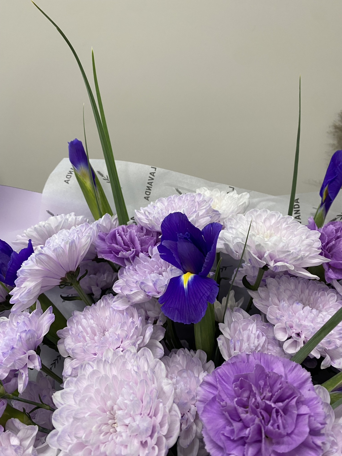 Лунная соната