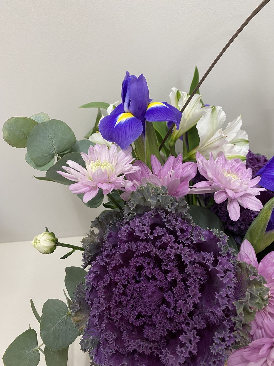 Плайм с брасикой и ирисами