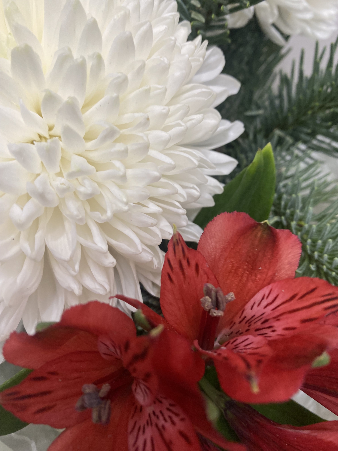 Зимнее утро