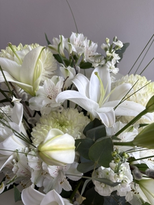 Белоснежный