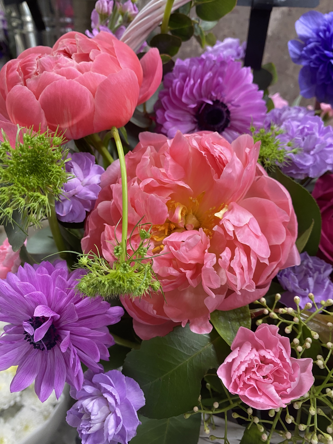 Пионы в саду!