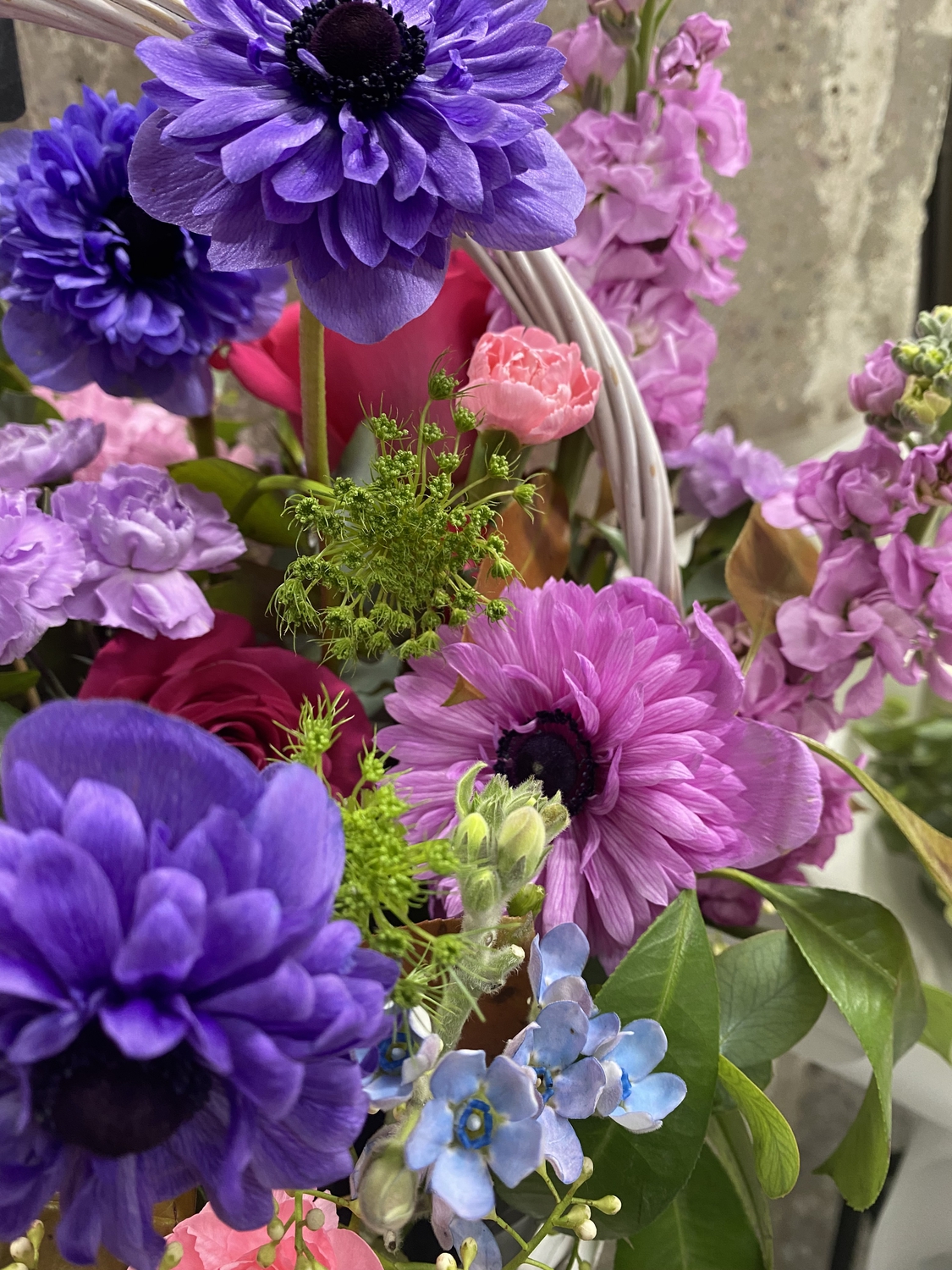 Пионы в саду!