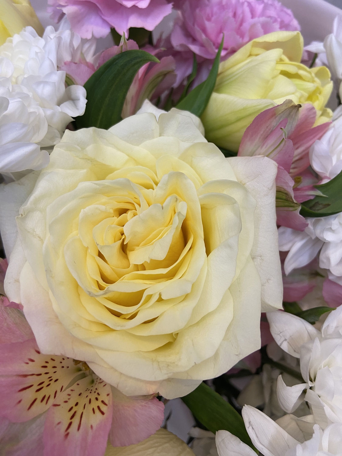 Букет с пионовидными розами и тюльпанами