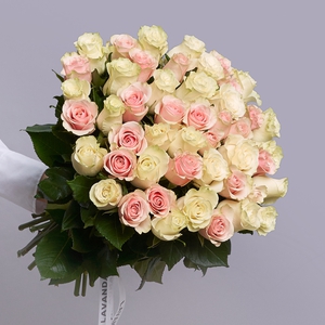 51 бело-розовая Эквадорская роза 60 см.