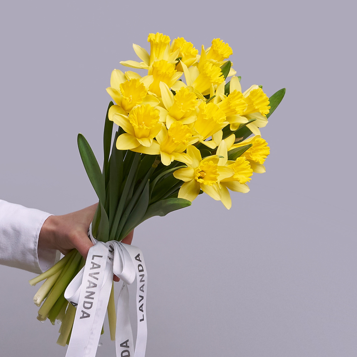 Нарциссы цветы к 8 марта в контейнере Р9 купить в Питомнике Вашутино