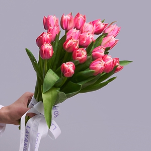 Ярко-розовые пионовидные тюльпаны