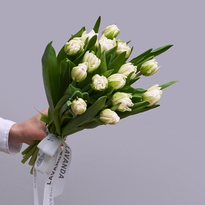 Белые пионовидные тюльпаны