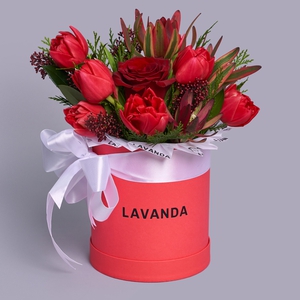 Красная коробочка с тюльпанами, скиммией и туей