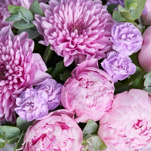 Фиолетовые и розовые диантусы, хризантемы и розовые пионы
