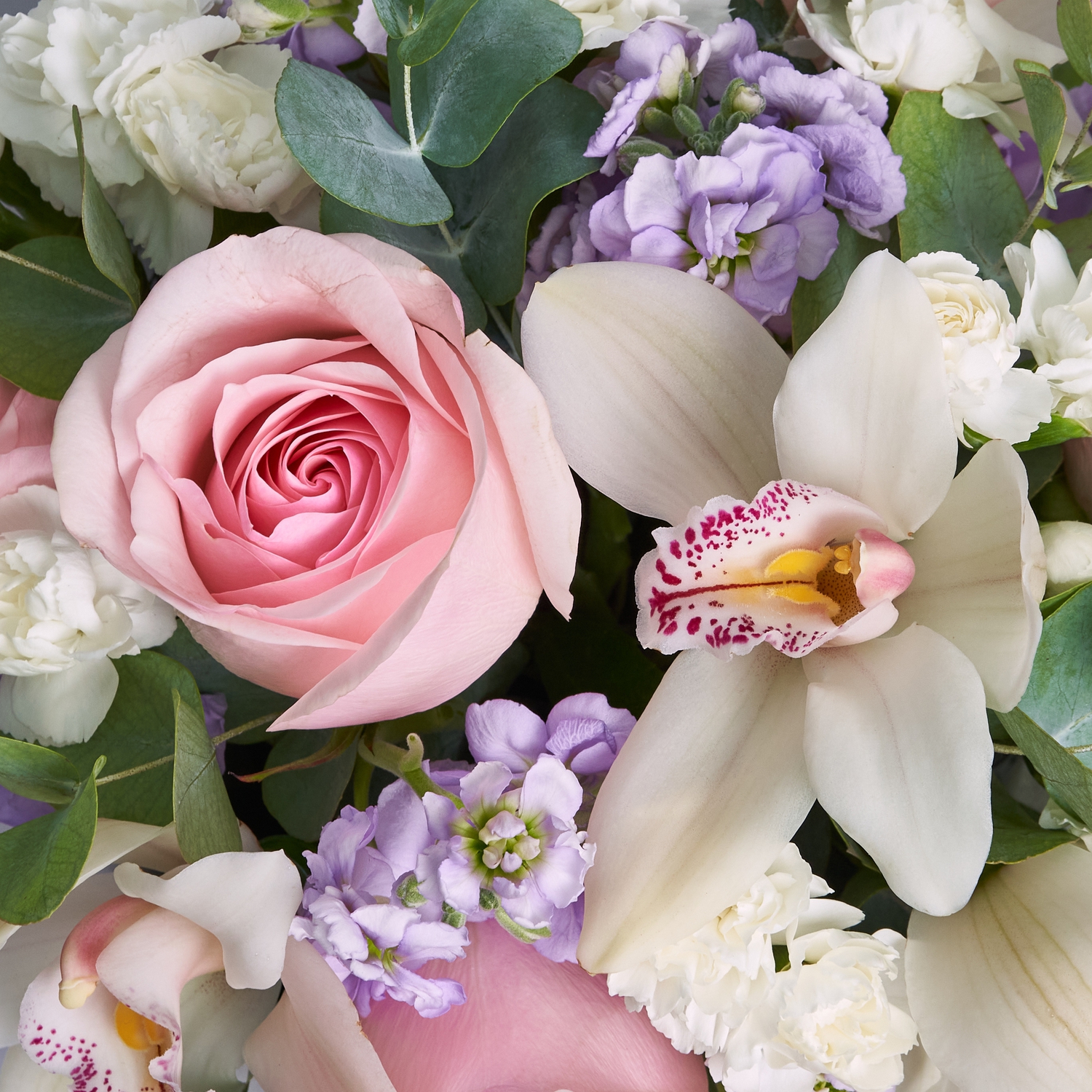 Белая коробочка нежных маттиол, роз и орхидей