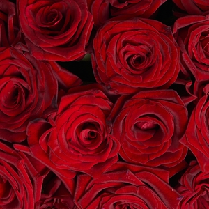 Серая коробка красных роз