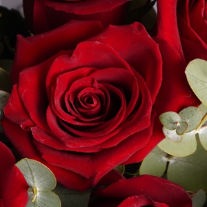 Букет бордовых роз с эвкалиптом