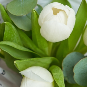 Букетик белых тюльпанов