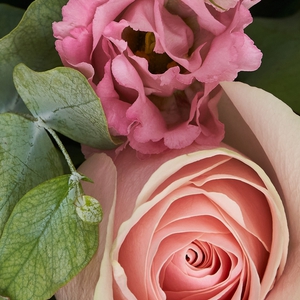 Букет нежных роз и кудрявых эустом в розовых оттенках