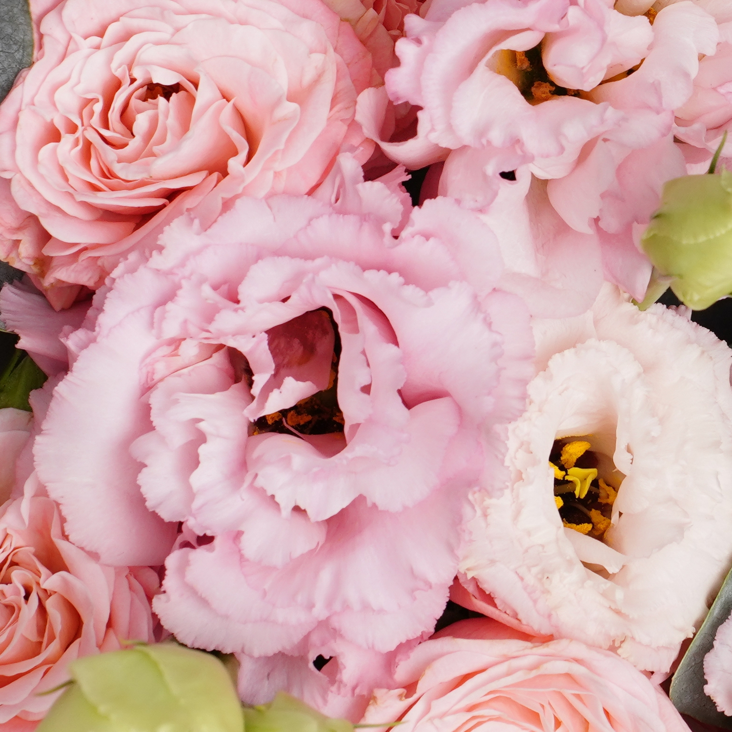 Пионовидные розы с розовой эустомой