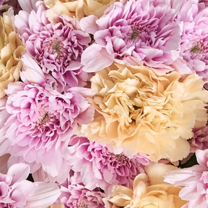 Букет нежных диантусов и розовых хризантем со статицей