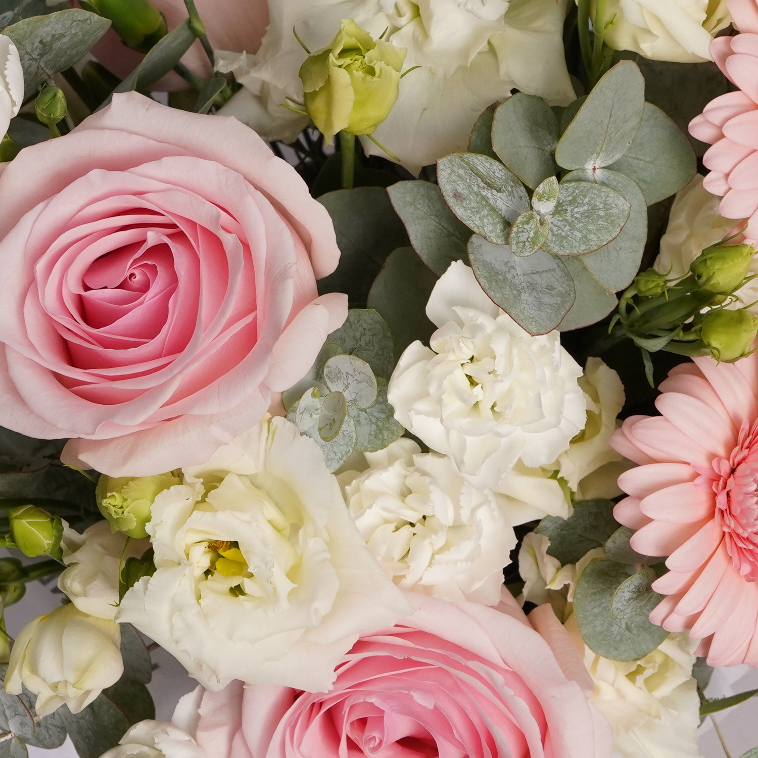 Розовые герберы, розы и белые эустомы, диантусы с эвкалиптом в кремовой коробке