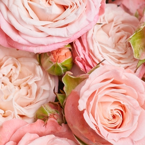 Букет кустовых роз для вазы