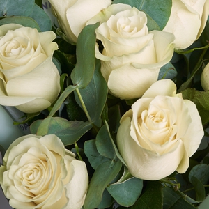 Букет белых роз в стильной пленке с эвкалиптом