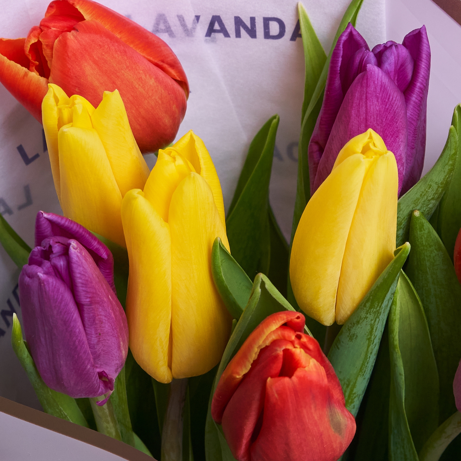 9 разноцветных тюльпанов в матовой пленке