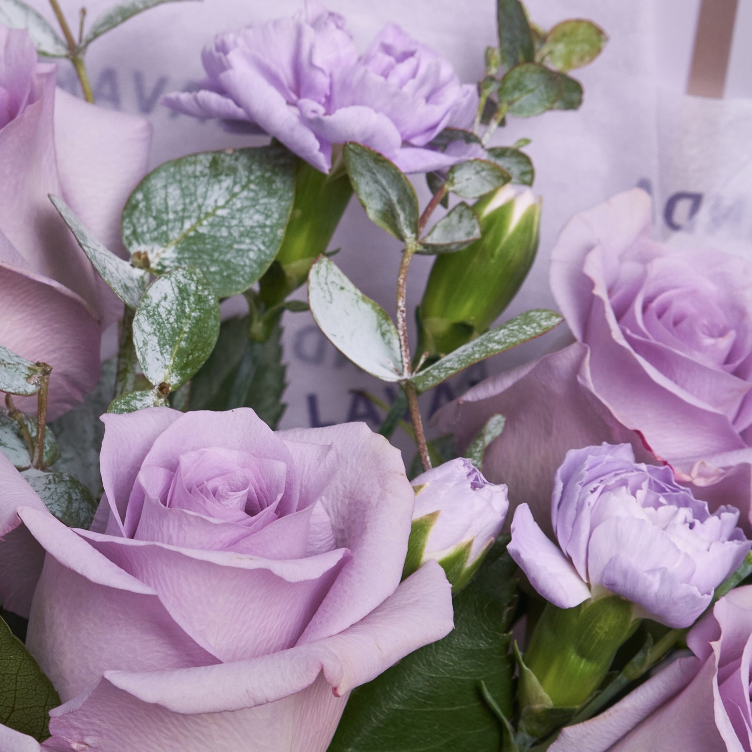 Лиловый букет роз и диантусов с эвкалиптом