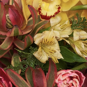 Яркий букет с орхидеями, тюльпанами и леукадендроном