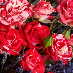 Букет кустовых роз с лавандой