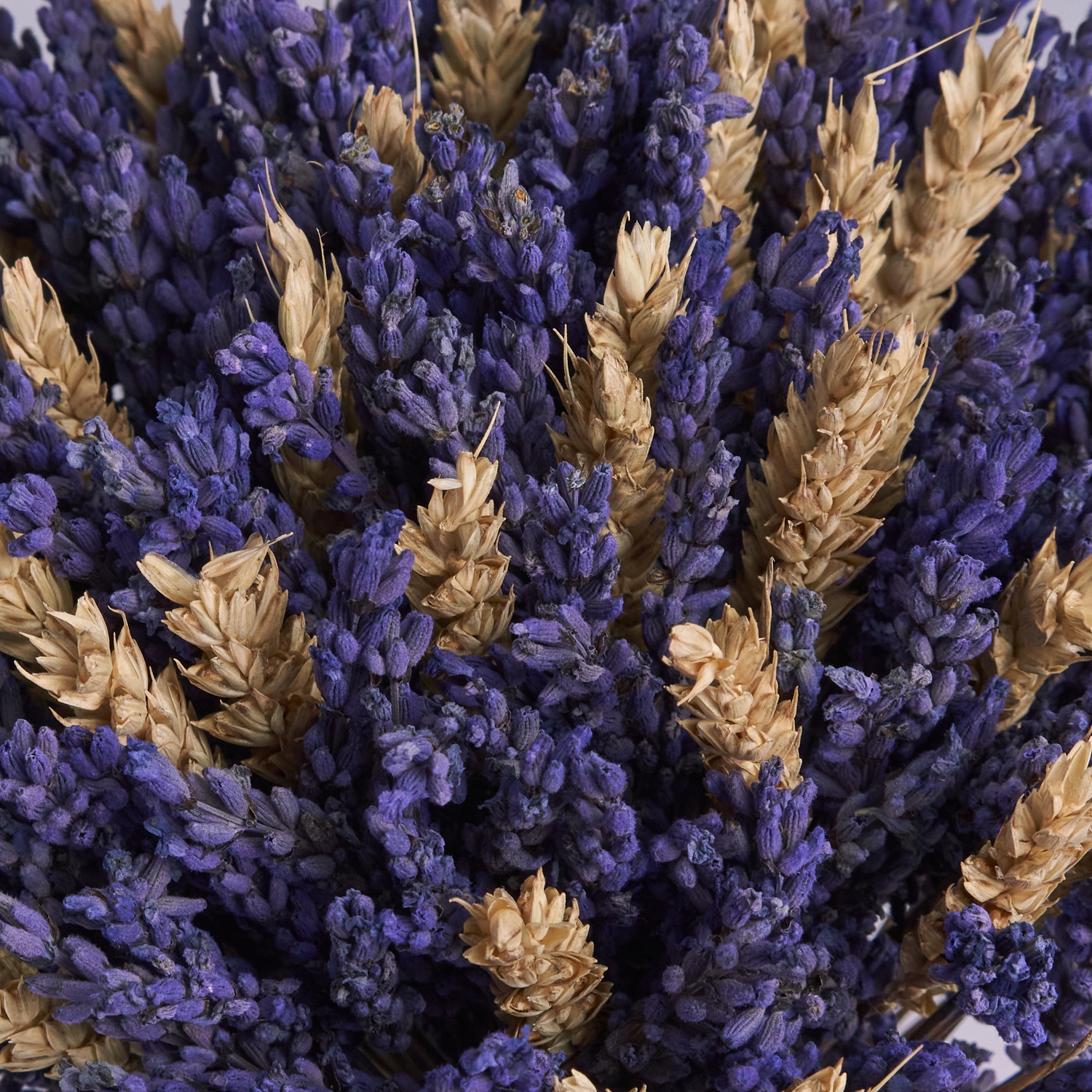 Букет сухоцветов лаванды и пшеницы