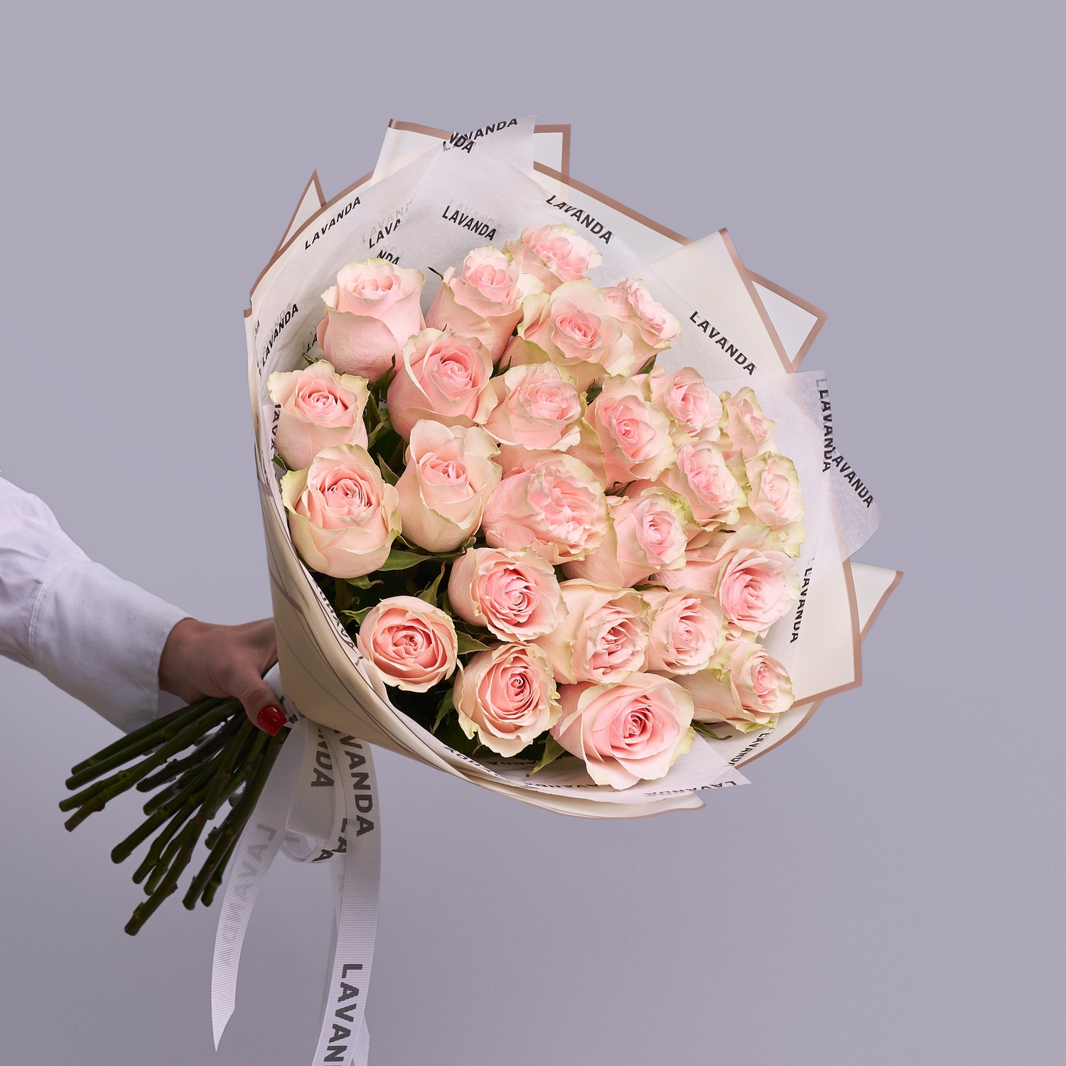 25 розовых эквадорских роз 50 см.