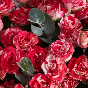 Букет кустовых роз с эвкалиптом