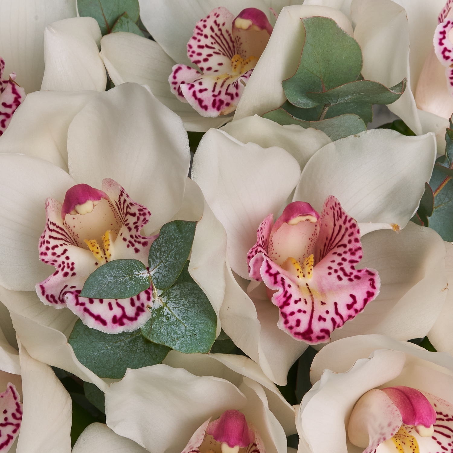 Букет белых орхидей с ароматным эвкалиптом