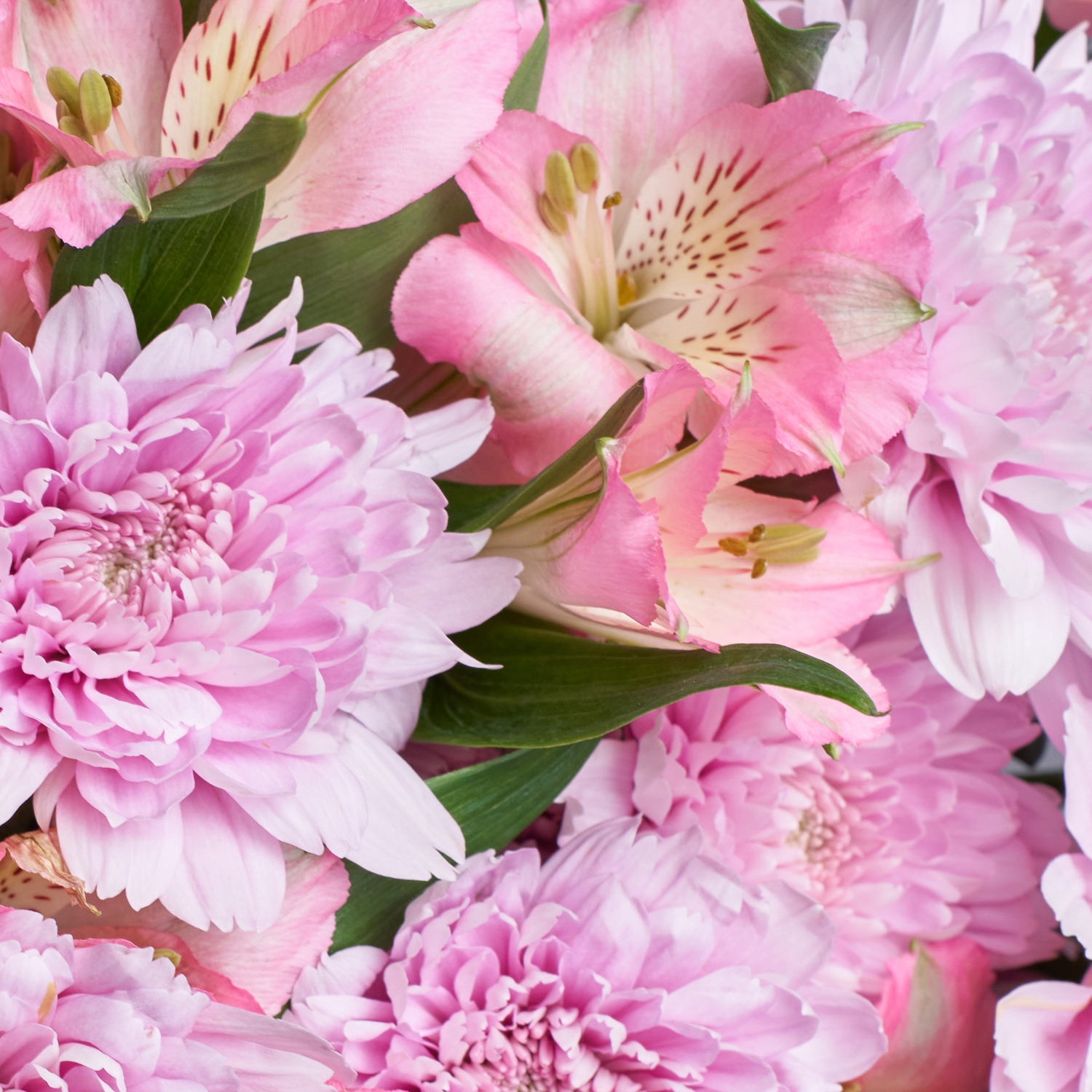 Сборный букет розовых альстромерий и хризантем
